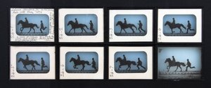 Leland Stanford Jr. sur son poney Gypsy - Eadweard Muybridge